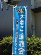 緊急　命をつなぐ譲渡会　熊本市愛護センター