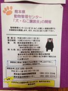 12月11日は　熊本県動物管理センター「犬・ねこ譲渡会」