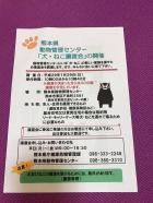 熊本市と熊本県の「犬猫の死」→　「犬猫の命と生活」とは？？