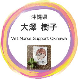 Vet Nurse Support Okinawa​大澤樹子