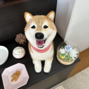 小さな柴犬ナナちゃんへ逢えました