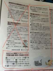 熊本市わんにゃん相談コーナー　6月